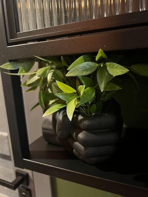 Cozy Charming Spot - Superb Location *